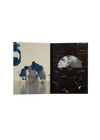 petal exclusive tour edition zine cd - cd