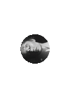 petal exclusive picture disc gif