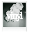 vinyl polaroid
