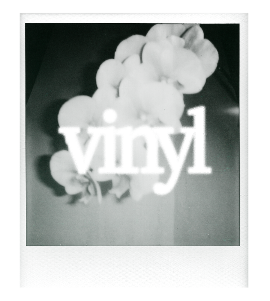 vinyl polaroid