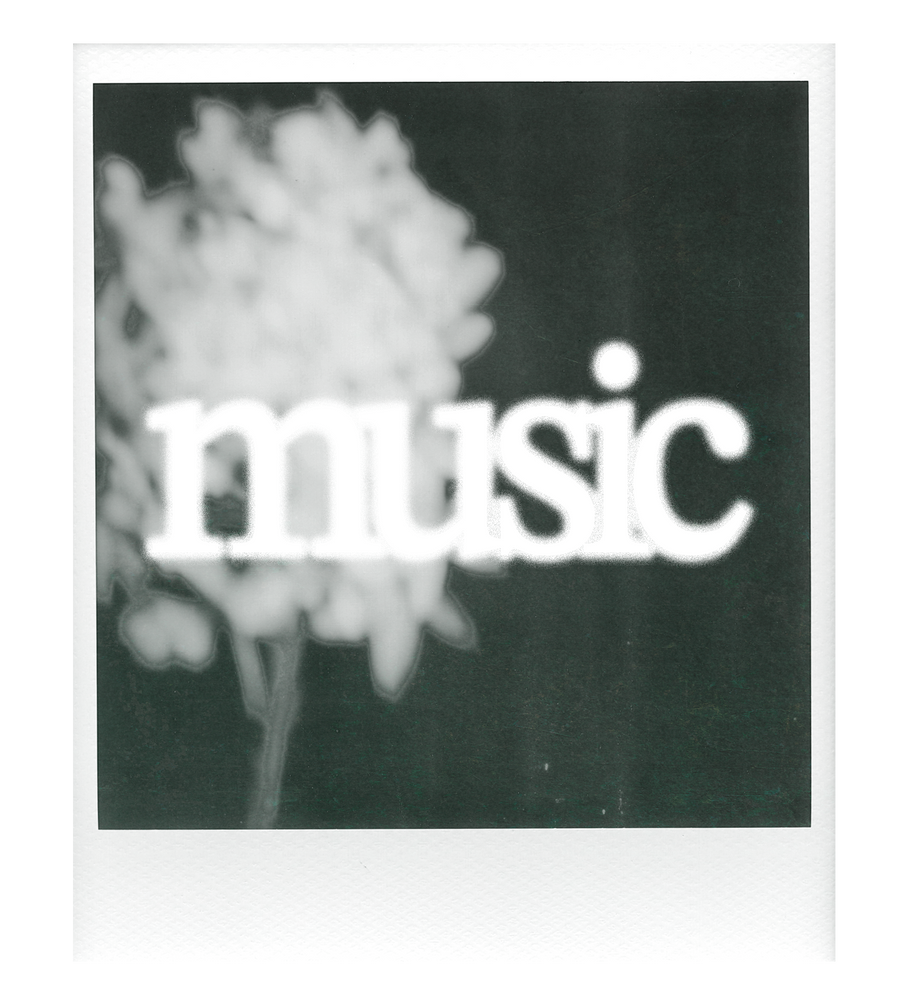 music polaroid