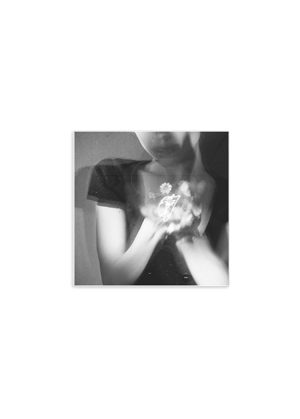 petal exclusive picture disc back