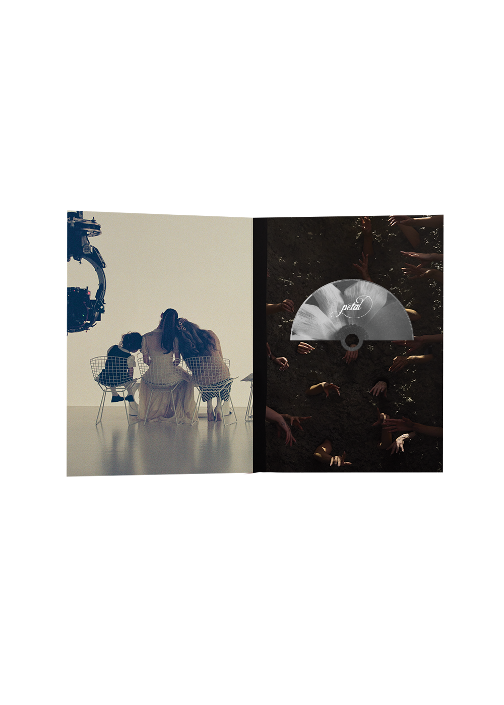 petal exclusive tour edition zine cd - cd