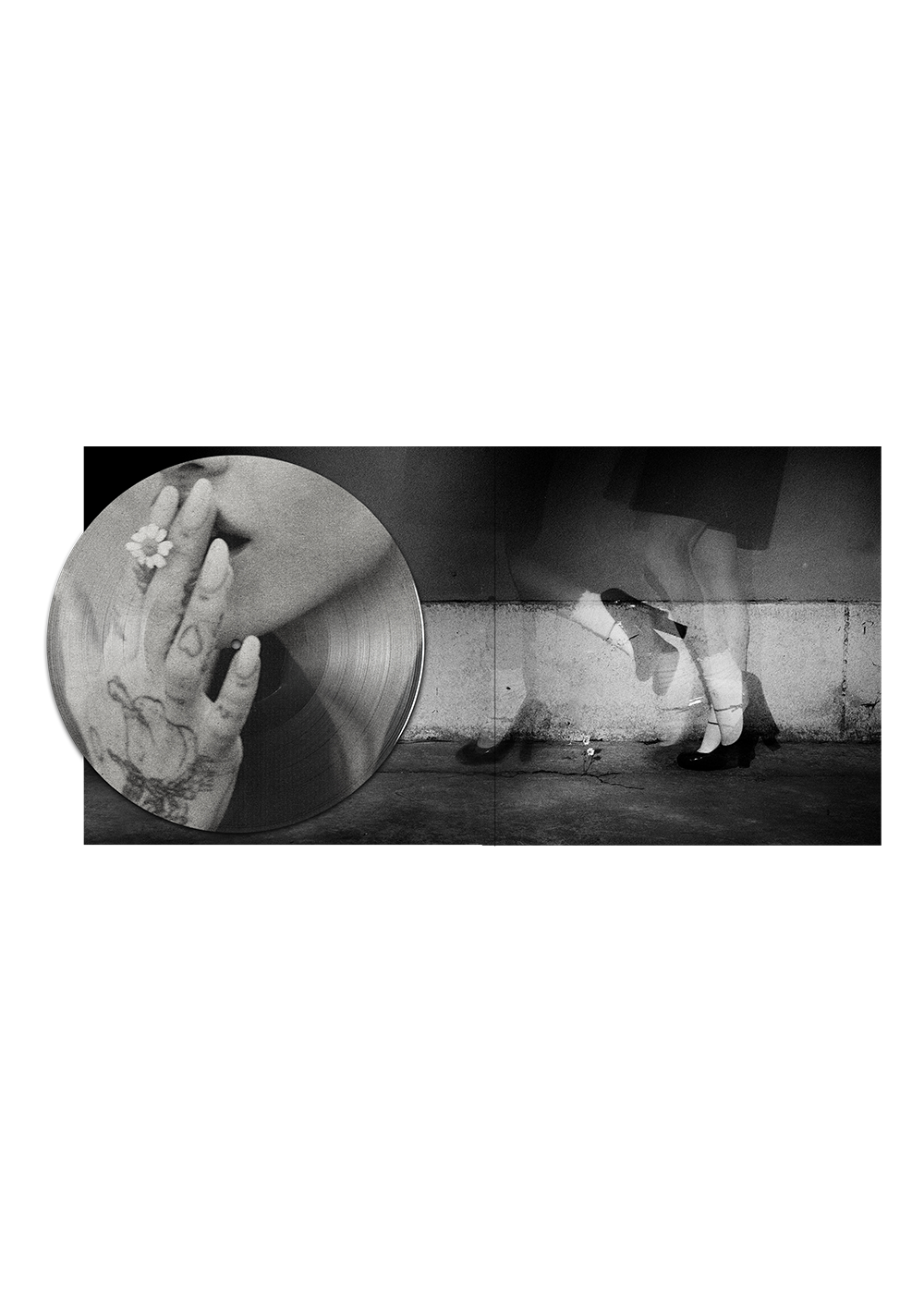 petal exclusive picture disc back expanded